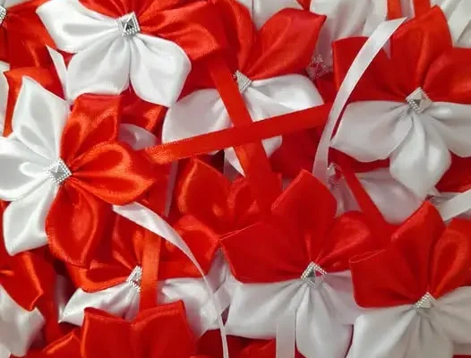 Kotyliony i patriotyczne dźwięki – GOK Wielbark szykuje koncert na Święto Niepodległości