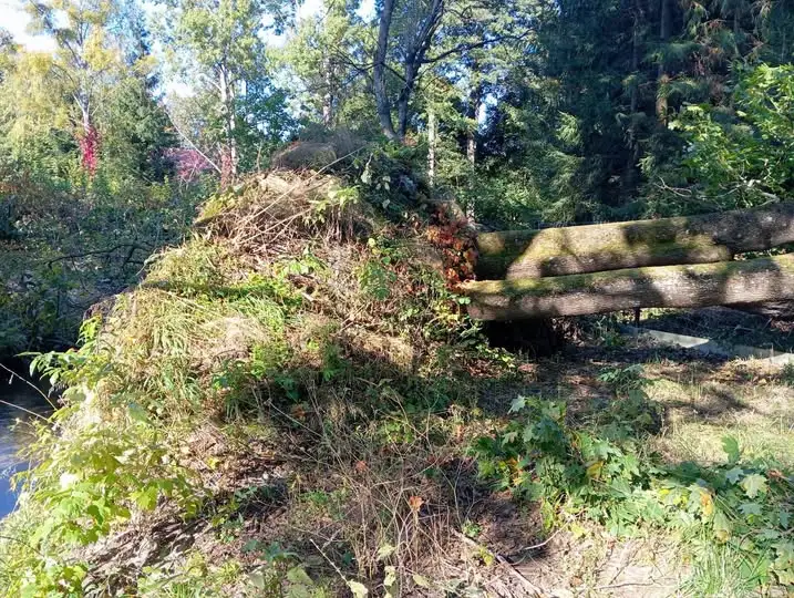 Powalone drzewa w Rekownicy — interwencja strażaków z OSP Jedwabno