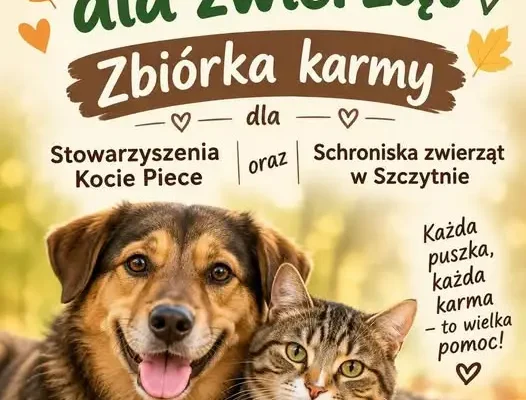 Październik miesiącem dla zwierząt – zbiórka karmy i akcesoriów w Szczytnie