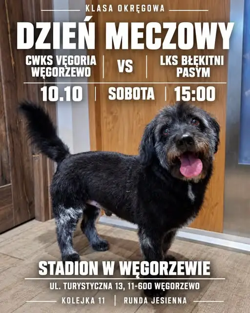 Dzień meczowy w Węgorzewie: Vęgoria kontra Błękitni Pasym i historia psa Krecika